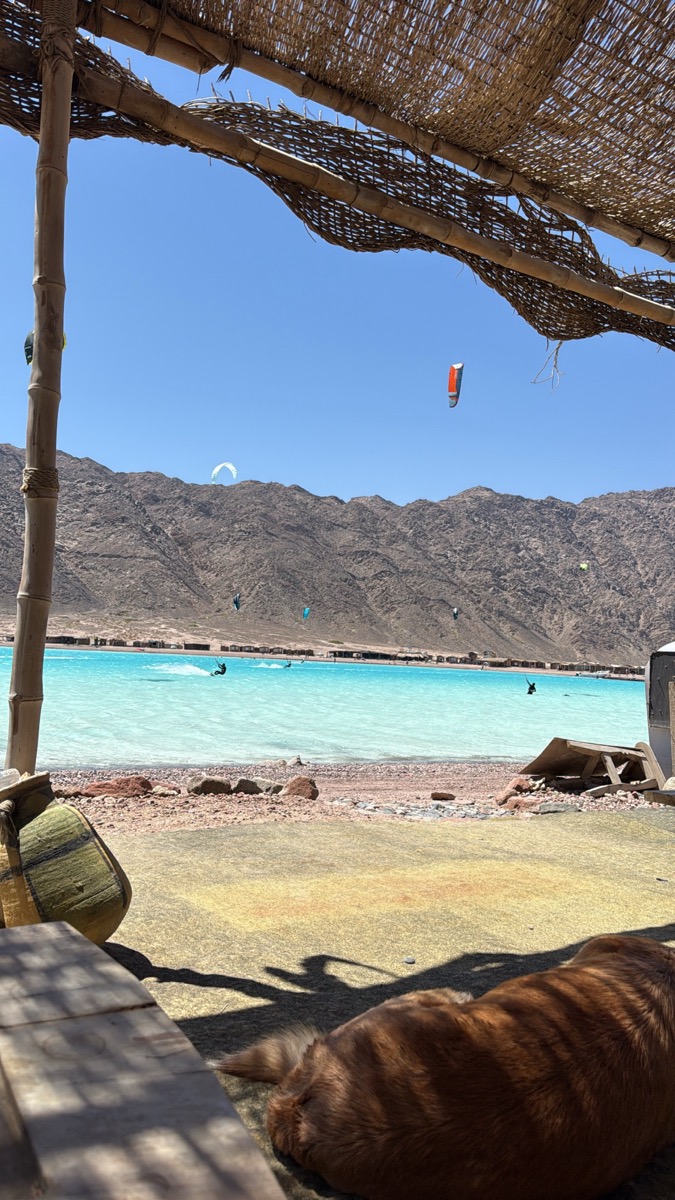 View from bamboo beach hut over turquoise Blue Lagoon, kites in the air — Dahab Egypt