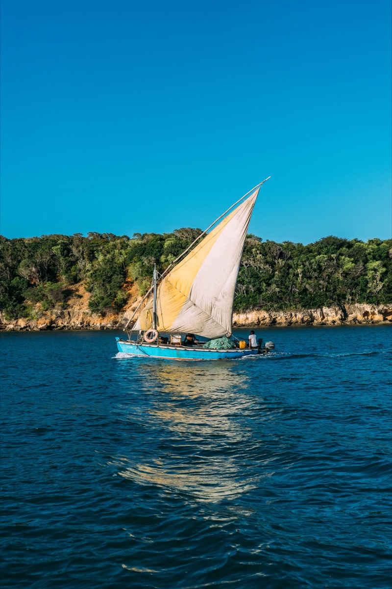 Traditional blue dhow sailboat sailing past Inhaca Island coastline, Mozambique